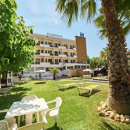 Hotel Checkin Flamingo 3*