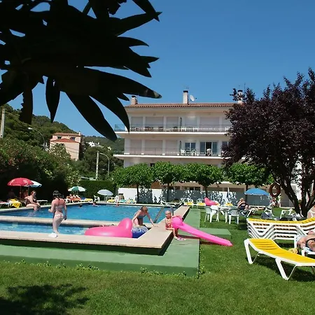 Checkin Flamingo Hotel 3*