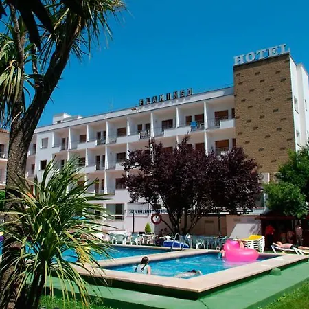 Checkin Flamingo 3* L'Estartit