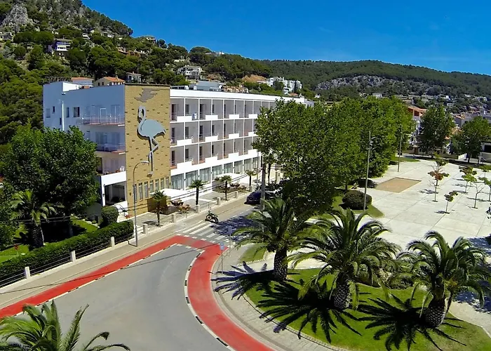 Checkin Flamingo 3* L'Estartit