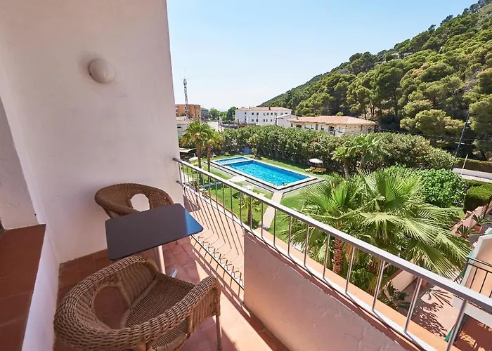 Checkin Flamingo Hotel