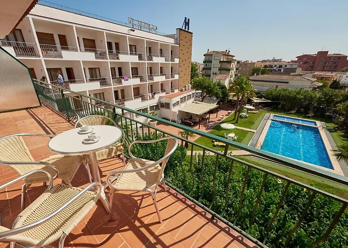 Checkin Flamingo Hotel