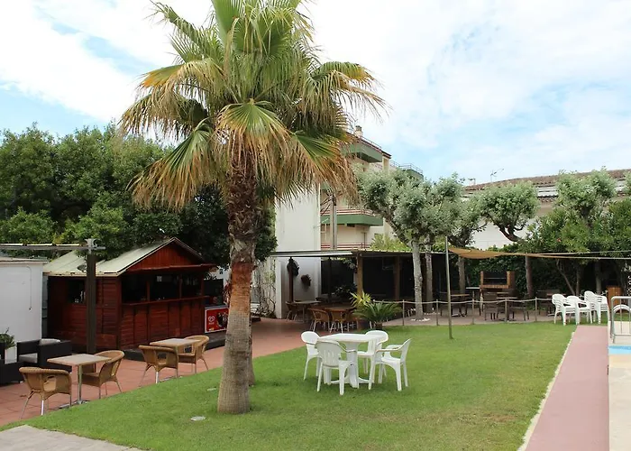 Checkin Flamingo Hotel 3*