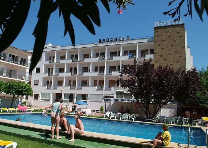 Checkin Flamingo L'Estartit