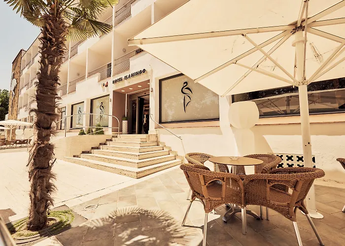 Checkin Flamingo L'Estartit