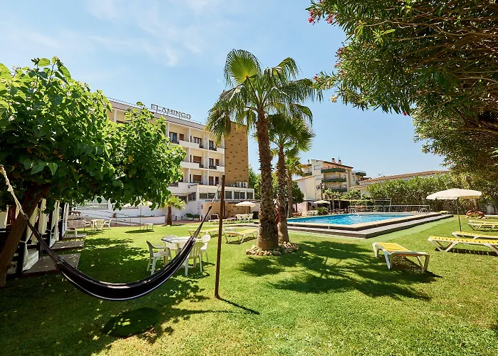 Checkin Flamingo Hotel 3*