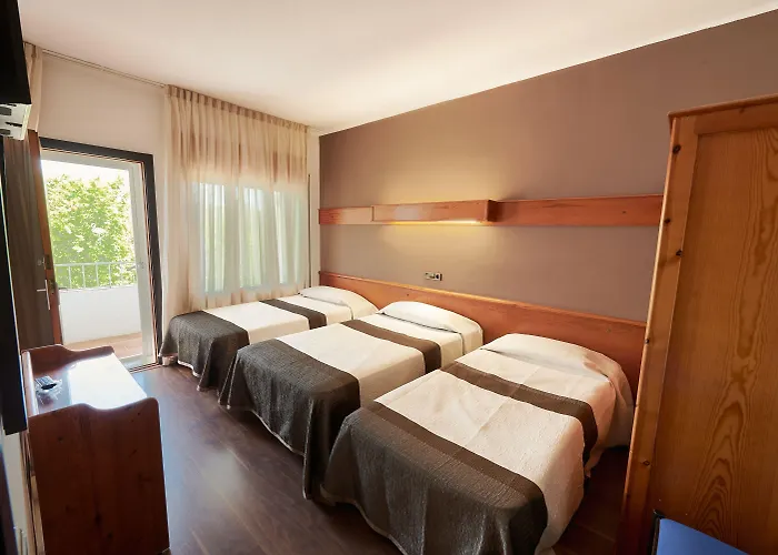 Checkin Flamingo Hotel