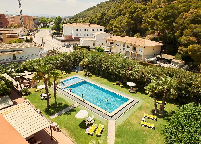 Checkin Flamingo 3* L'Estartit