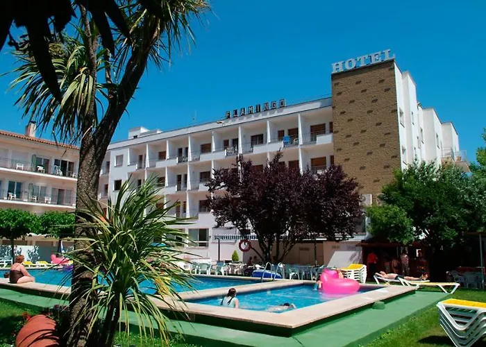 Checkin Flamingo 3* L'Estartit