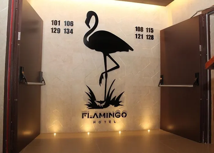 Checkin Flamingo 3* 埃斯塔蒂特